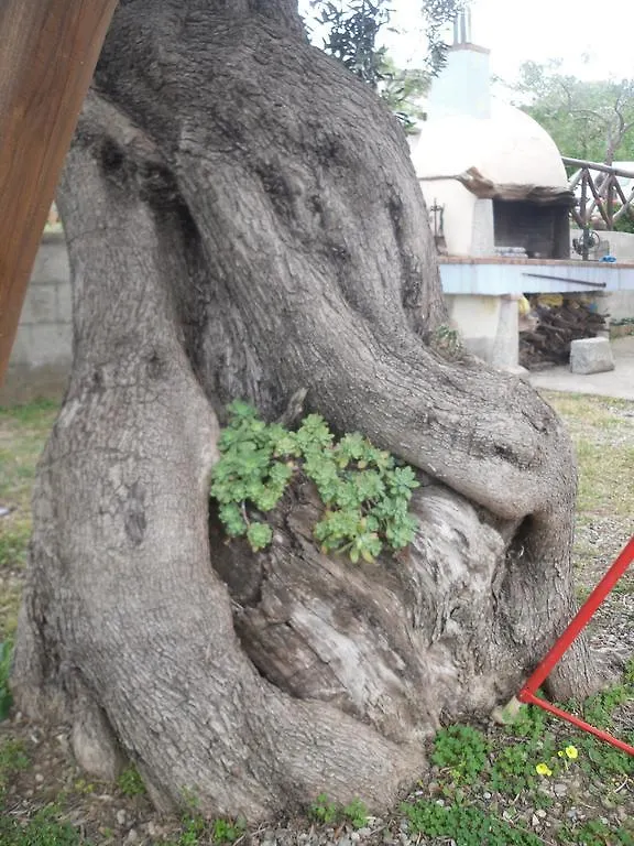 Appartamento MareMontagna Cardedu